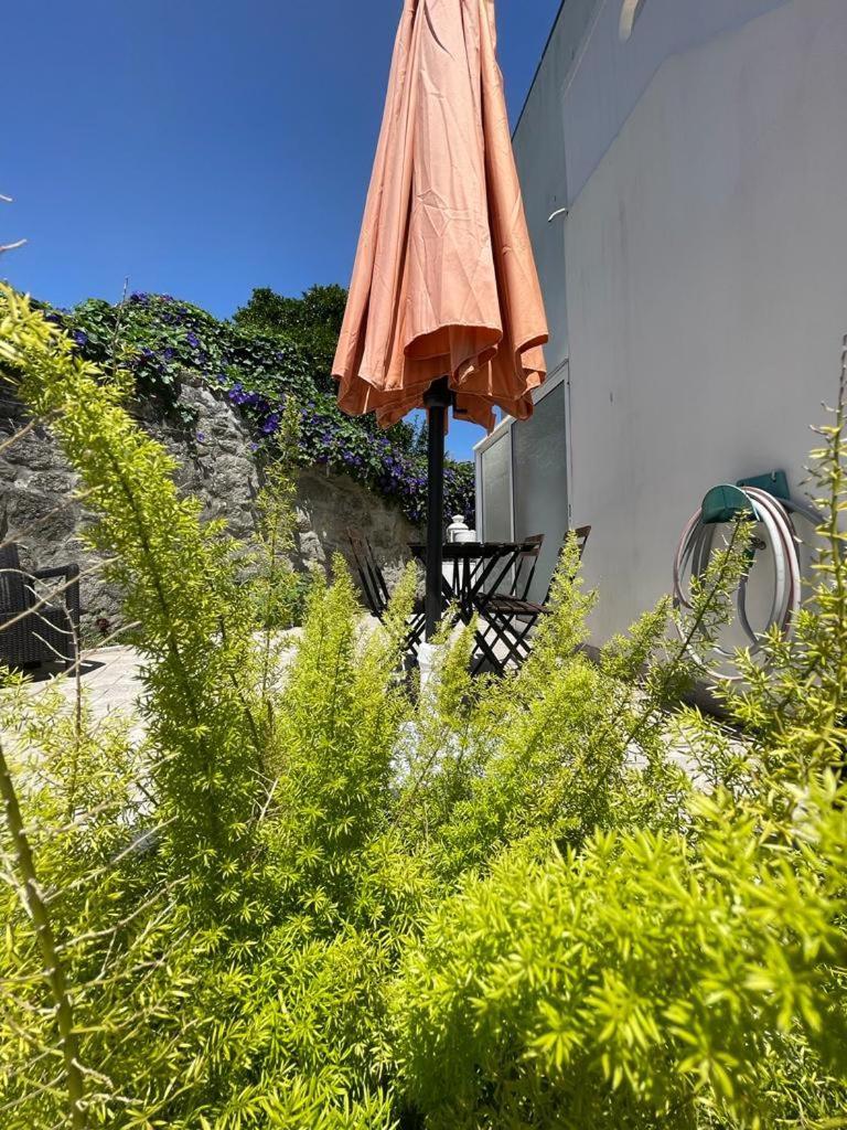Burgaes II Apartment Porto Exterior photo